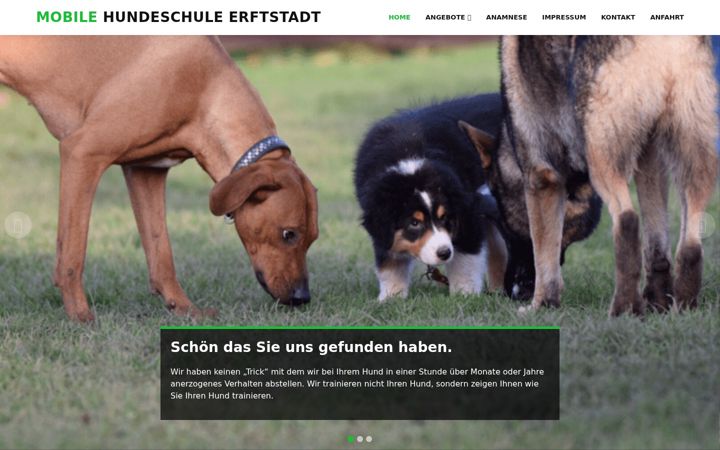 Screenshot of dogs-school.de