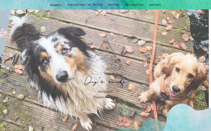 Screenshot of dogs-souls.fr
