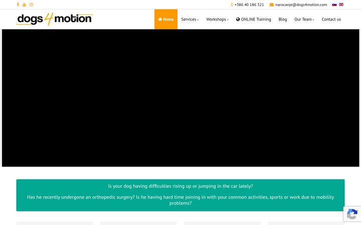 Screenshot of dogs4motion.com