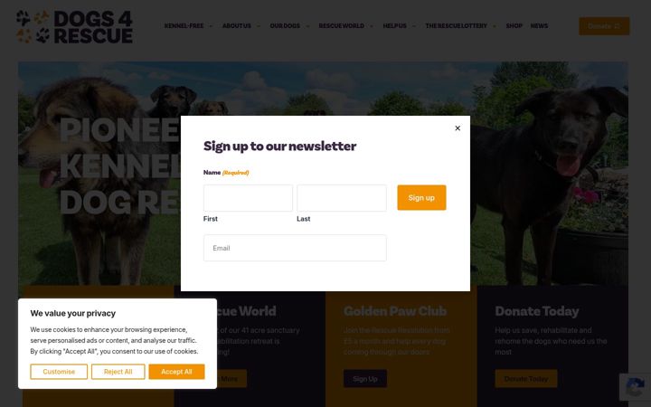 Snímek obrazovky dogs4rescue.co.uk