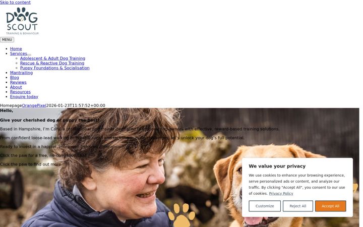 Screenshot of dogscouttraining.co.uk