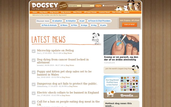 Screenshot of dogsey.com