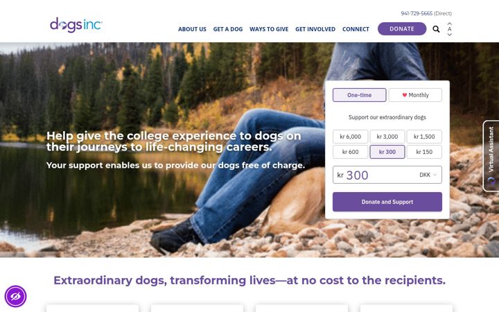 Ekrano kopija dogsinc.org