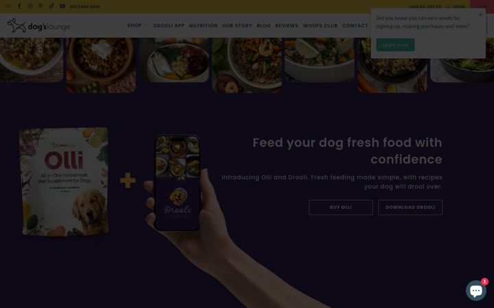 dogslounge.co.uk