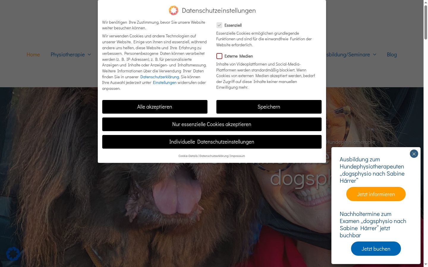 Screenshot του banner συγκατάθεσης που εμφανίστηκε πριν από οποιαδήποτε αλληλεπίδραση
