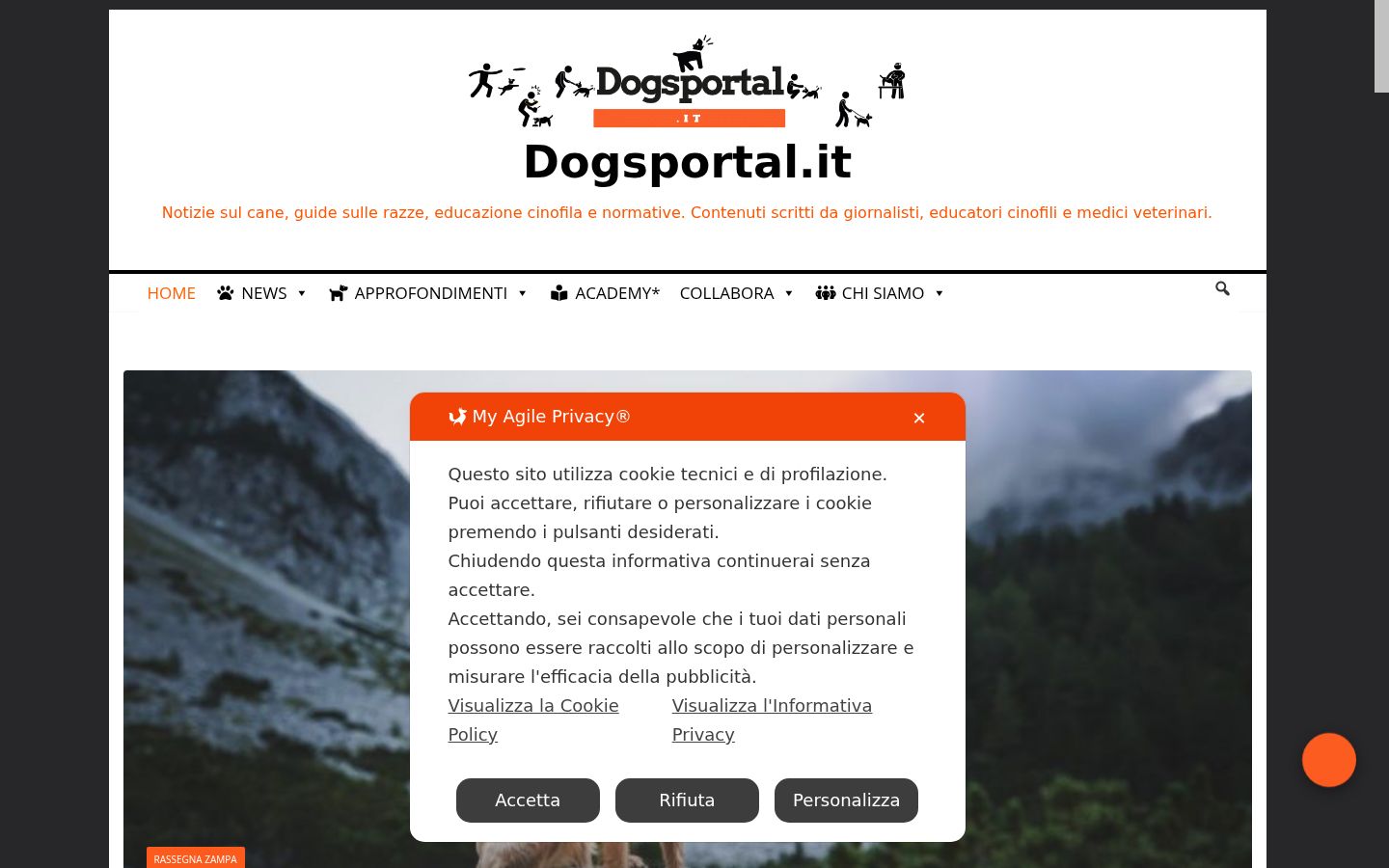 Captura de ecrã do banner de consentimento apresentado antes de qualquer interação