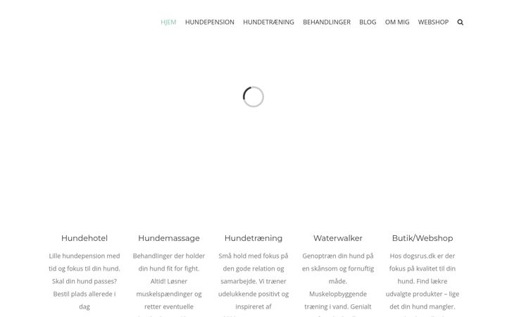 Screenshot of dogsrus.dk