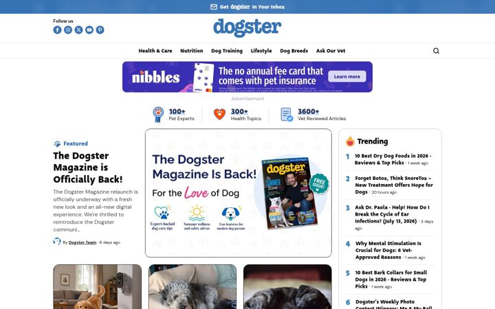 Screenshot di dogster.com