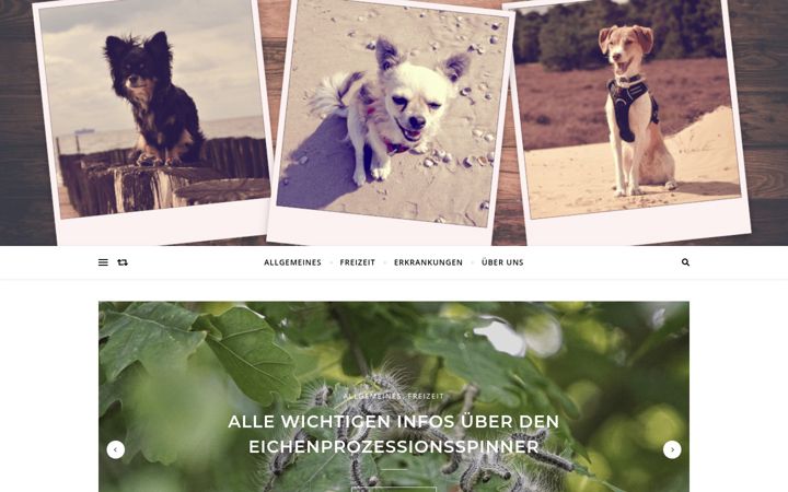 Ekrānuzņēmums no dogtail.at