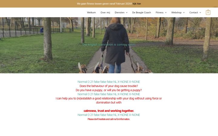 Captura de pantalla de dogtrainingbymariel.nl