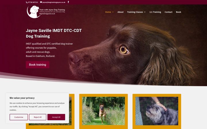 Screenshot of dogtrainingjayne.co.uk