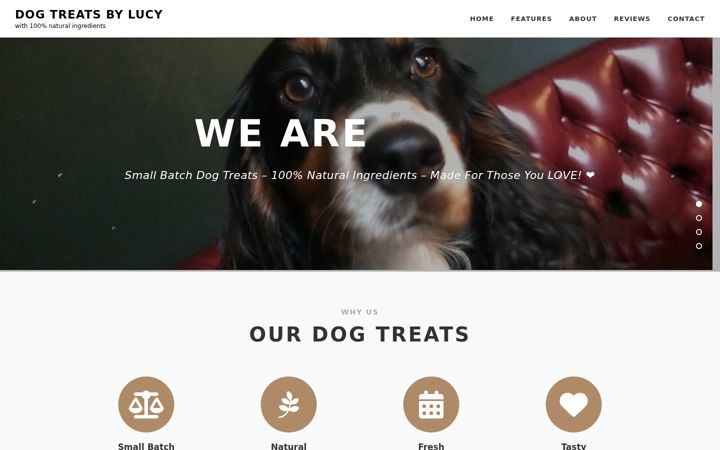 Screenshot of dogtreatsbylucy.co.uk