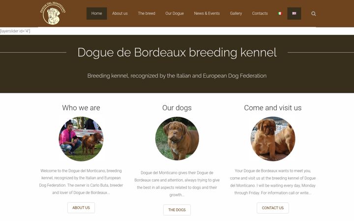 Screenshot of doguedelmonticano.com