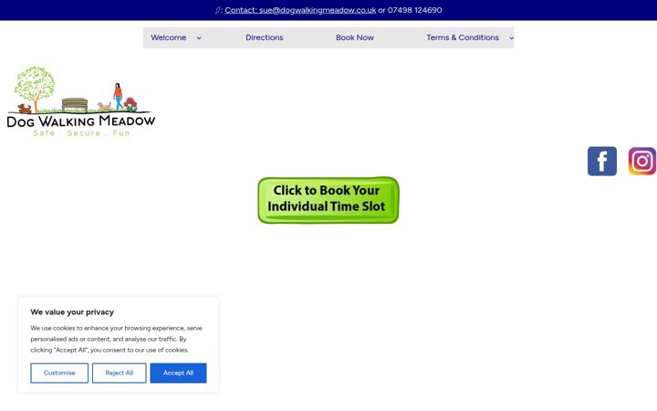 Screenshot of dogwalkingmeadow.co.uk