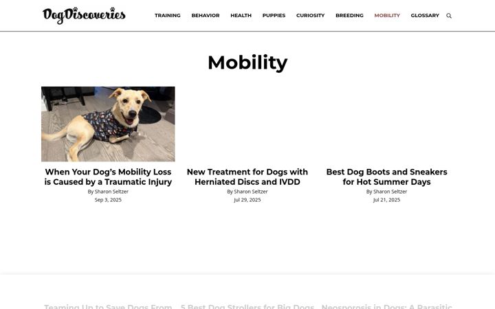 Screenshot of dogwheelchairlife.com