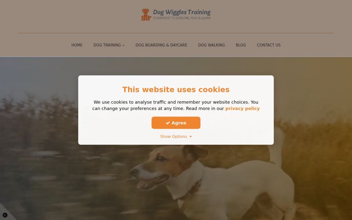 Screenshot of dogwigglessitters.co.uk
