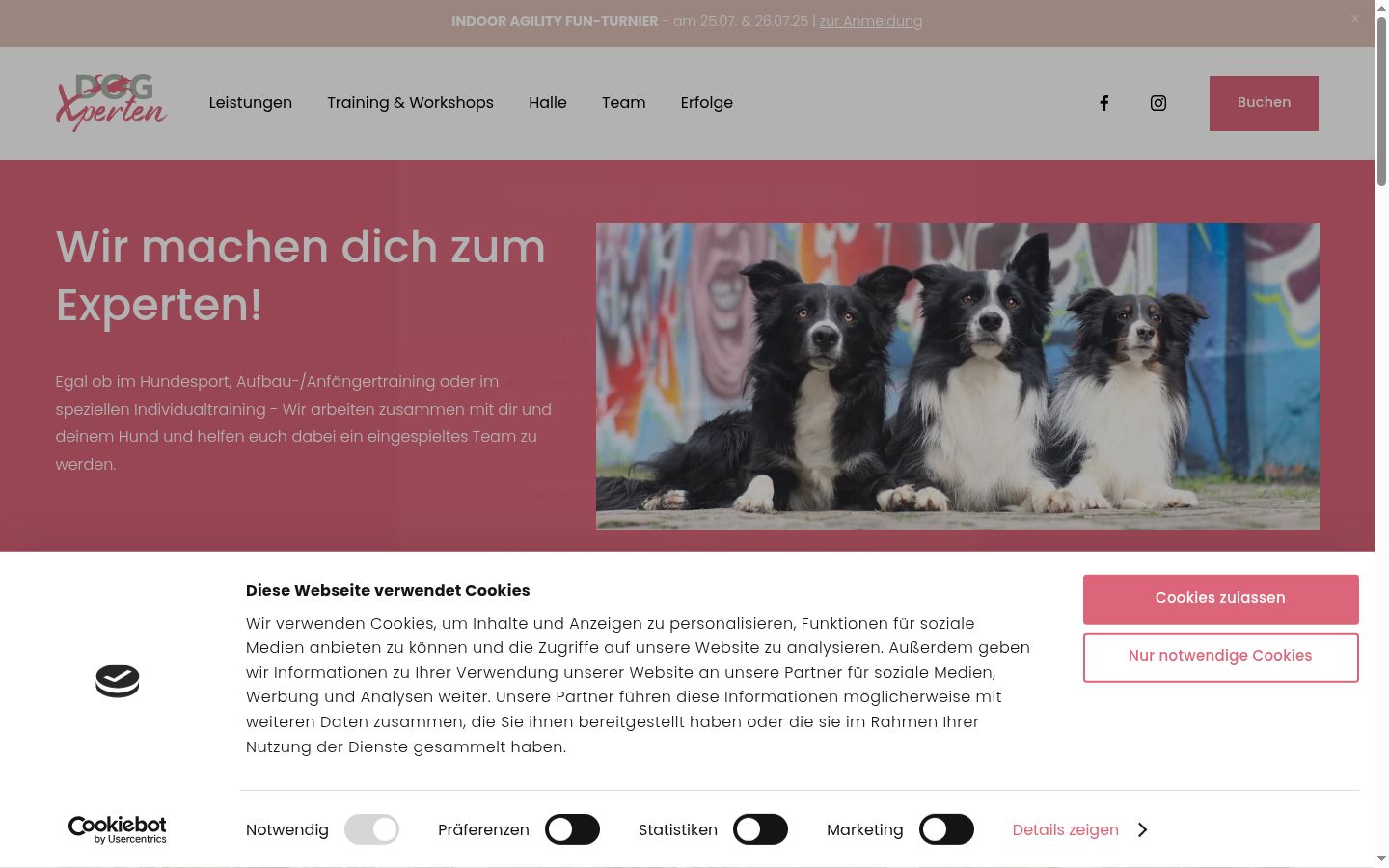 Screenshot tal-banner tal-kunsens muri qabel kwalunkwe interazzjoni
