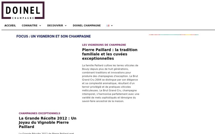 Screenshot of doinelchampagne.com