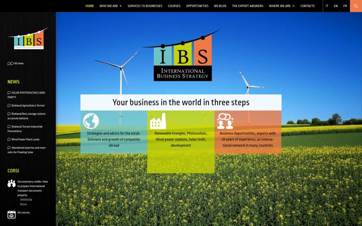 Captura de pantalla de doingbusinessibs.it