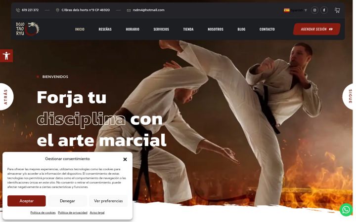 Screenshot of dojotaoryu.com