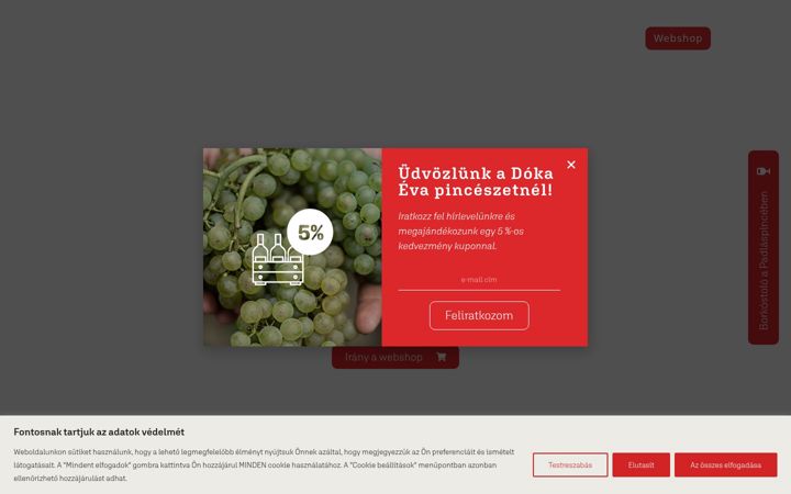 Screenshot of dokaevapinceszet.hu