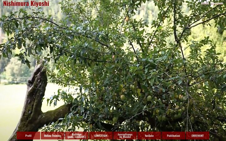 Screenshot of dokufilm-stuttgart.de