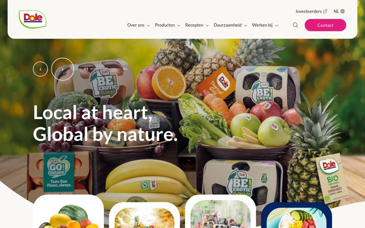 Screenshot of doleeuropebv.com