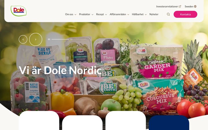 Zrzut ekranu dolenordic.com