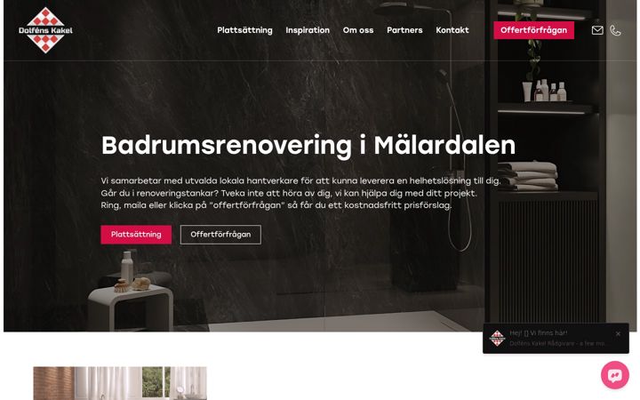 Screenshot of dolfenskakel.se