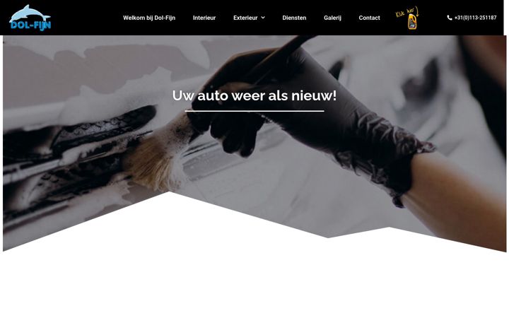 Screenshot of dolfijn-goes.com