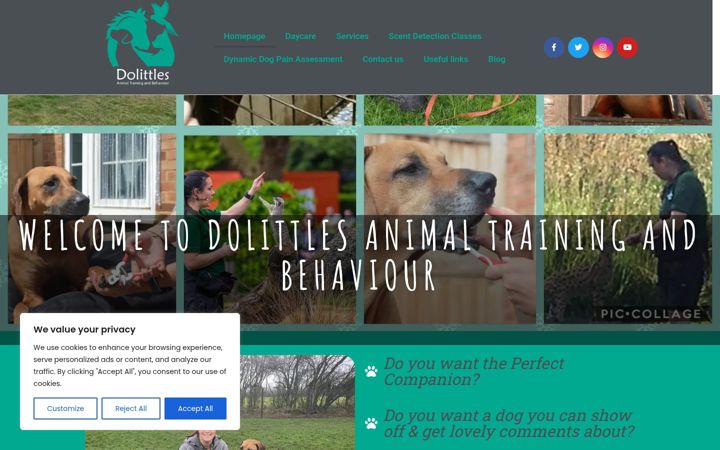 Captura de pantalla de dolittlesanimaltraining.co.uk