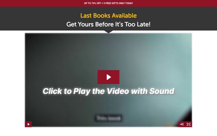 Screenshot of dollarapocalypseguide.com