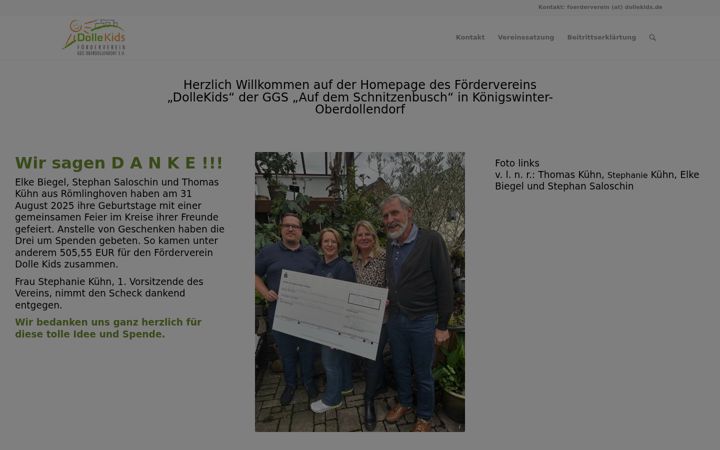 Screenshot of dollekids.de