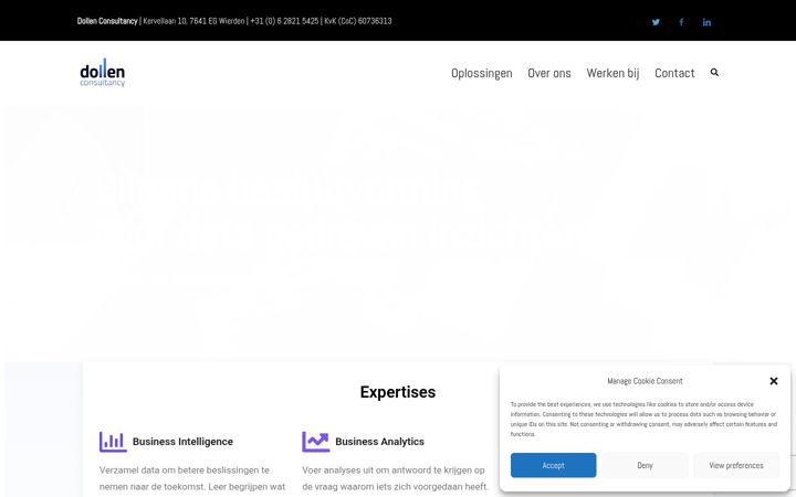 Screenshot of dollenconsultancy.nl