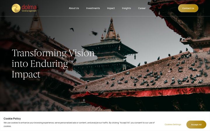Screenshot of dolmaimpact.com