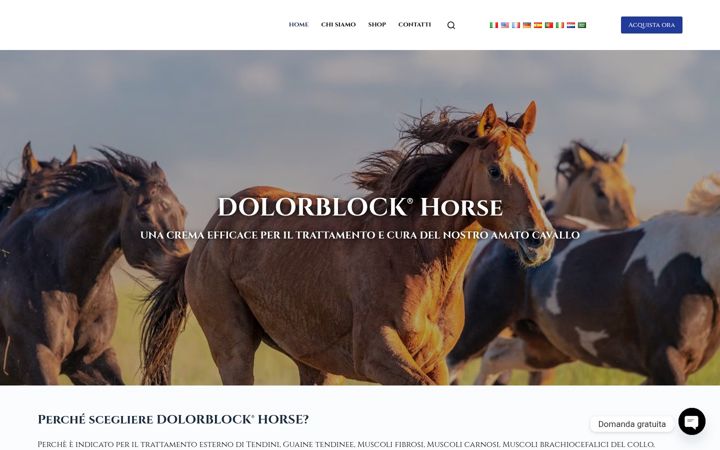 Screenshot of dolorblockhorse.com