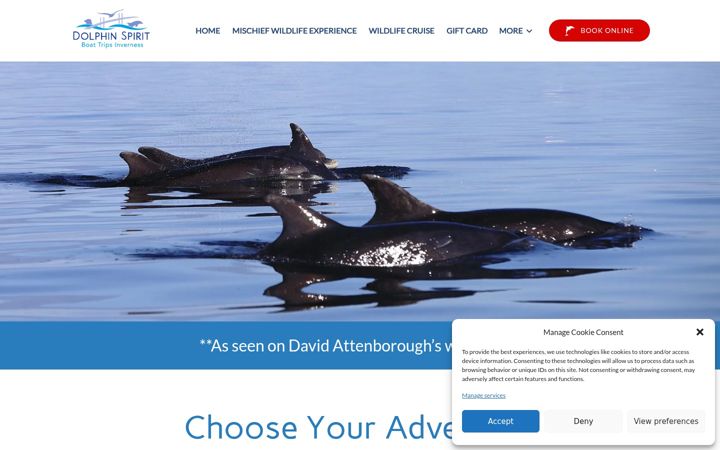 Snímek obrazovky dolphinspirit.co.uk