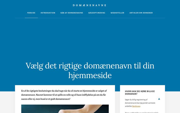 Ekraanipilt saidist domaener.net