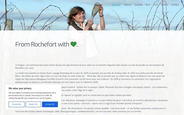 Screenshot of domaenevincendeau.com