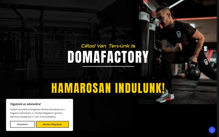 Screenshot of domafactory.hu
