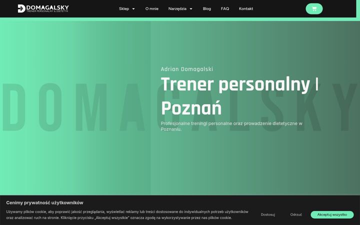 Screenshot του domagalsky.pl