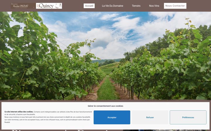 Screenshot of domaine-andre-pigeat.com