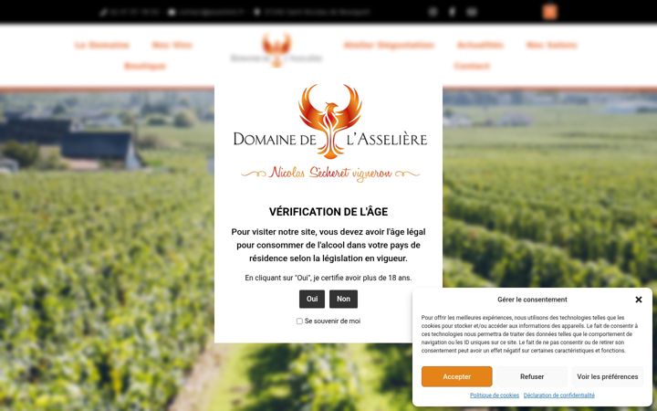 Screenshot von domaine-asseliere.fr