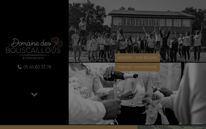Screenshot von domaine-bouscaillous.fr