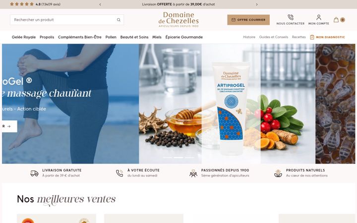 Screenshot of domaine-chezelles.com