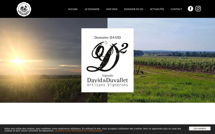 Екранна снимка на domaine-david.fr
