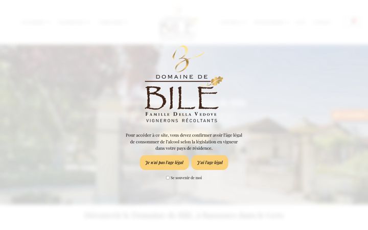 Screenshot of domaine-de-bile.com