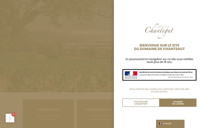 Screenshot of domaine-de-chantegut.com