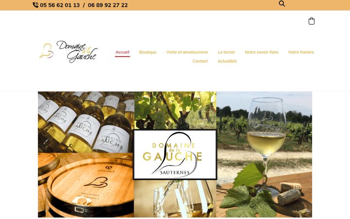 Screenshot of domaine-de-la-gauche.fr