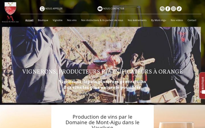 Екранна снимка на domaine-de-mont-aigu.fr